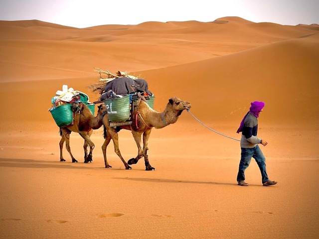Visit Trek de 4 jours dans le désert marocain en dromadaires in M'hamid El Ghizlane, Maroc