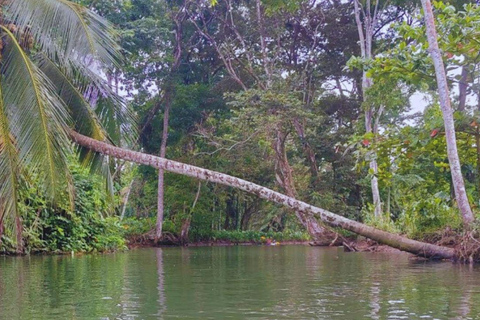 Private Kayaking Adventure: a 2-hour Wildlife Escape Self-Guided Kayaking Adventure: a 2-hour Wildlife Escape