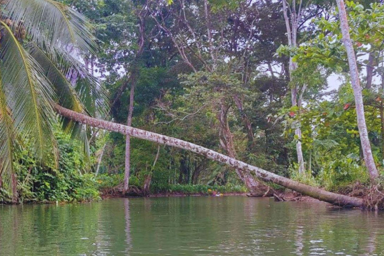 Private Kayaking Adventure: a 2-hour Wildlife Escape Self-Guided Kayaking Adventure: a 2-hour Wildlife Escape