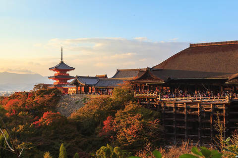 Da Osaka: Tour di un giorno di Kyoto e Nara con avvistamento dei cervi