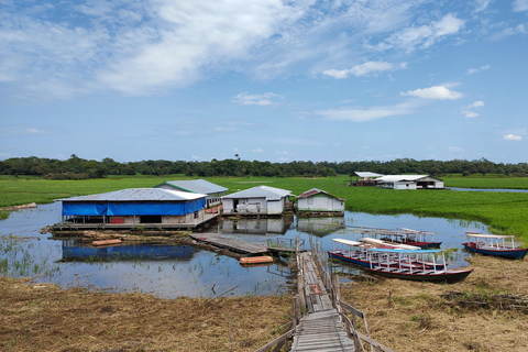 Manaus: City Tour with Meeting of the Waters Boat Trip