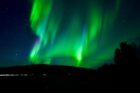 Tromsø: Northern Lights Tour z lokalnym przewodnikiem