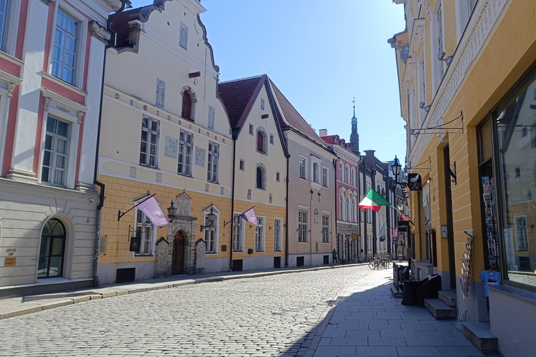 Old Tallinn & Medieval Past Private Tour