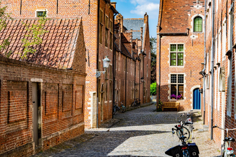 From Brussels: Excursion to Ghent and Leuven English Language Sightseeing Tour