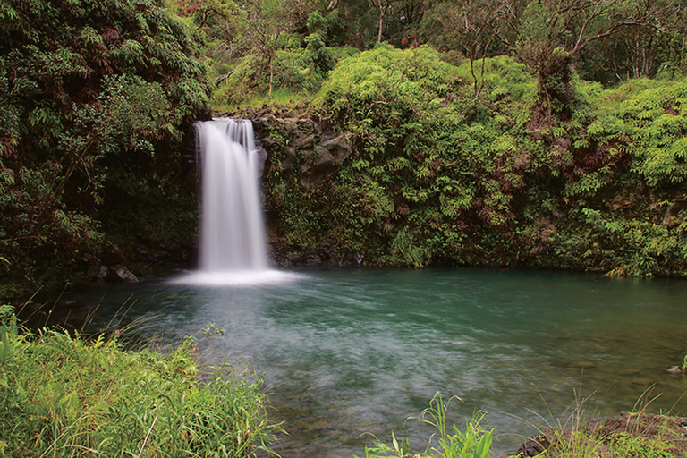 From Oahu: Maui Road to Hana Sightseeing Tour