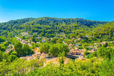 Luberon: Cykeltur på Pestväggen