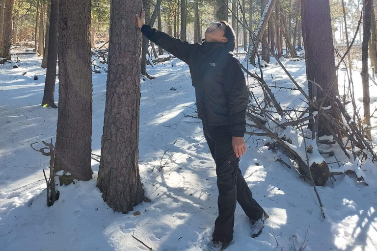 Ulaanbaatar: Caminhada na Montanha Bogd Khan com visita ao mosteiro