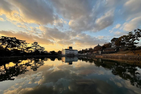 جولة ليوم واحد في نارا وأوجي - التركيز على ثقافة الراحة في كيوتوجولة ليوم واحد في نارا وأوجي - راحة ف