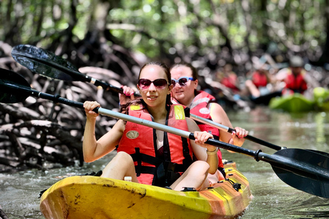 Langkawi: Kajakpaddling i mangrove med Farly