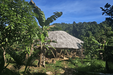 Santa Marta: 2-Day Jungle Adventure, Rappelling and Camping