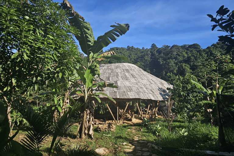 Santa Marta: 2-Day Jungle Adventure, Rappelling and Camping