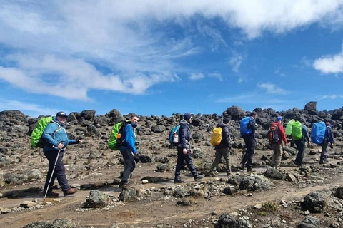 Desde Moshi - Excursión al Kilimanjaro por la ruta Machame - Un tour de 1 día