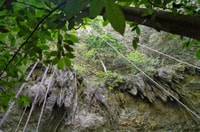 Yogyakarta , cueva jomblang y viaje de aventura cueva pindul - Hizvo