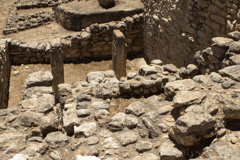 From Rethymnon: Day Trip to Knossos Palace & Heraklion City From Rethymnon: Knossos Palace and Heraklion Day Trip