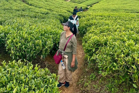 Kandy: Hidden Highlands Nature Walk