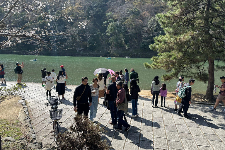 Kyoto : Visite privée flexible de Kyoto avec chauffeur parlant couramment l'anglais