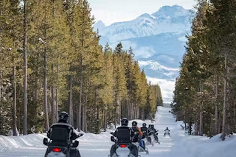 Au départ de Jackson : Excursion en motoneige au Grand Canyon de Yellowstone