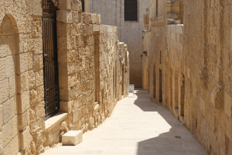 AlUla: Full-Day 4x4 Tour with Scenic Stops