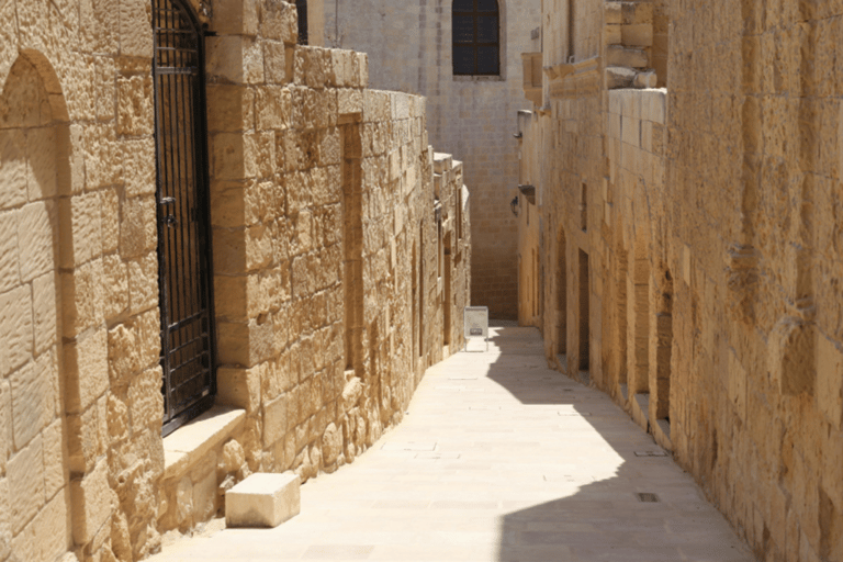 AlUla: Full-Day 4x4 Tour with Scenic Stops