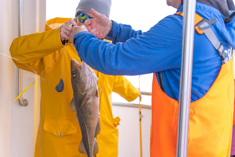 Pesca en aguas de Islandia de ReykjavikPesca de Islandia desde Reikiavik