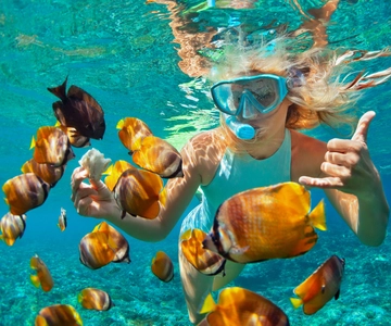 Costa Rica: Excursión guiada al atardecer y snorkel