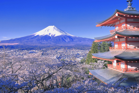 Tokyo: Mt. Fuji & Lake Kawaguchi Small Group Tour - 6 Spots Hotel Pickup Option