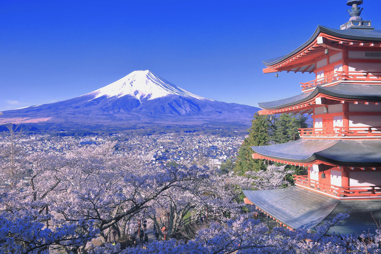 Tokyo: Mt. Fuji & Lake Kawaguchi Small Group Tour - 6 Spots Hotel Pickup Option