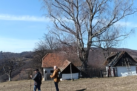 Brașov Transylvania: Guided Hike with Mountain Guide