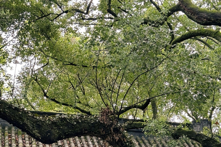 Hangzhou: Feilai Feng Scenic Tour met oude stenen beelden