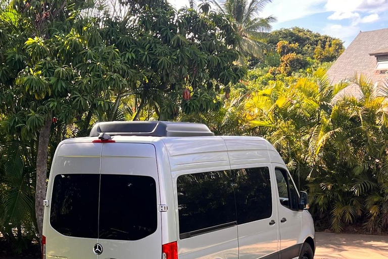 Maui Sea Turtles & Waterfalls: Full-Day Road to Hana Tour