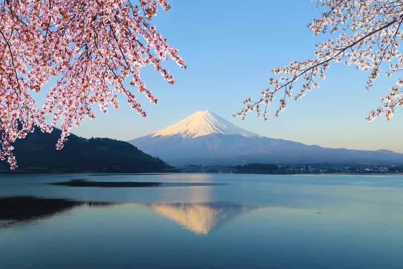 From Tokyo: Mt. Fuji & Hakone Tour w/ Return by Bullet Train