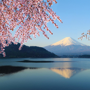 From Tokyo: Mt. Fuji & Hakone Tour w/ Return by Bullet Train