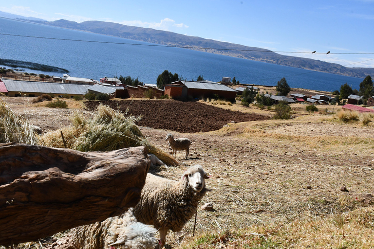 Lake Titicaca 2 days: Uros, Taquile and Luquina with an authentic local experience Lake Titicaca 2-day tour: Uros, Taquile, and Luquina with an authentic local experience