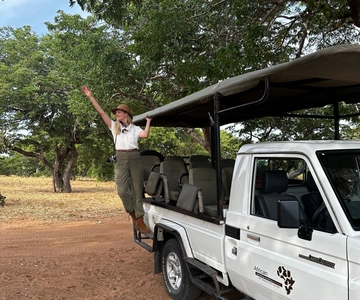 Parque Nacional de Chobe: safari de 3 horas