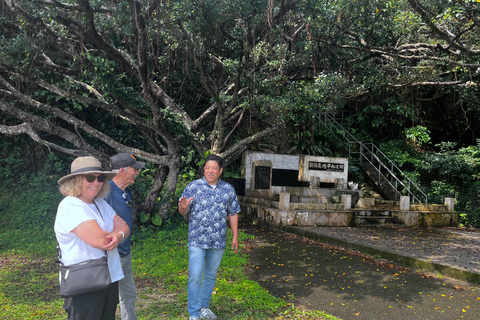 Okinawa: Private WWII History Tour with Guide Up to 8guests 8hour