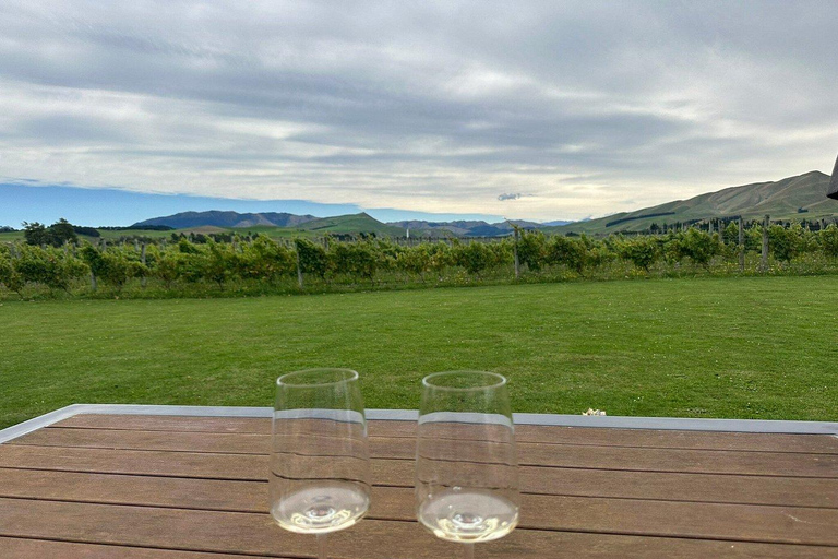 Waipara: Georges Road Winery Tour & Tasting with Winemaker