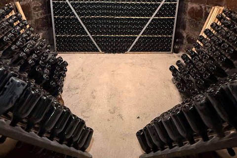 Tarragona: Tour of an underground winery with a tasting of 6 cavas and 6 wines Guided visit in English