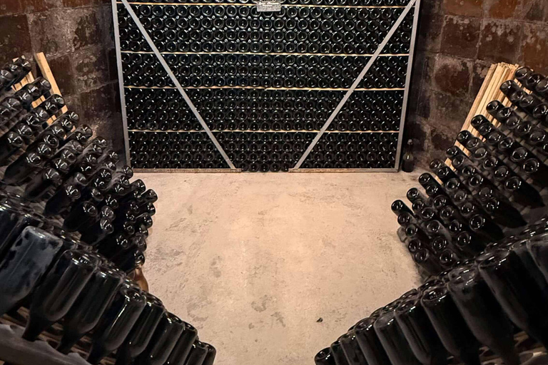 Tarragona: Tour of an underground winery with a tasting of 6 cavas and 6 wines Guided visit in English