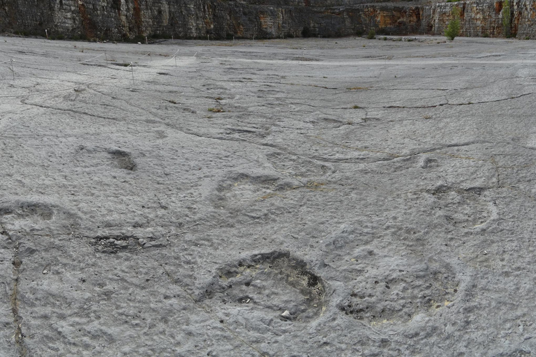 Lissabon: Dinosaurier-Fußabdrücke, Höhlen und Óbidos-TourTour für kleine Gruppen: Dinosaurierfußabdrücke, Höhlen und Óbidos