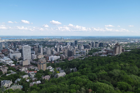 Montreal: All-inclusive-VIP-Erlebnis mit den berühmtesten SehenswürdigkeitenMontreal: All-inclusive-VIP-Erlebnis mit den berühmten Sehenswürdigkeiten