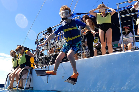 Waikiki: Sail and Turtle Snorkel Experience