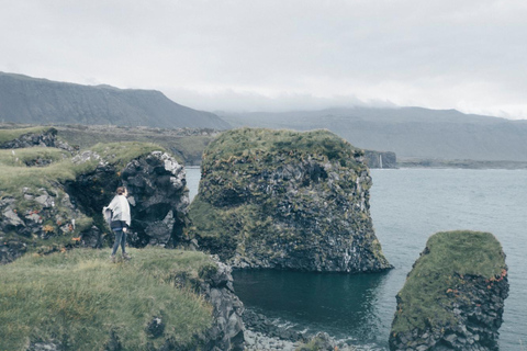 Z Grundarfjörður: Półdniowa wycieczka na półwysep Snæfellsnes