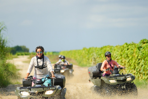 Miami: Tour in ATV con vista panoramica