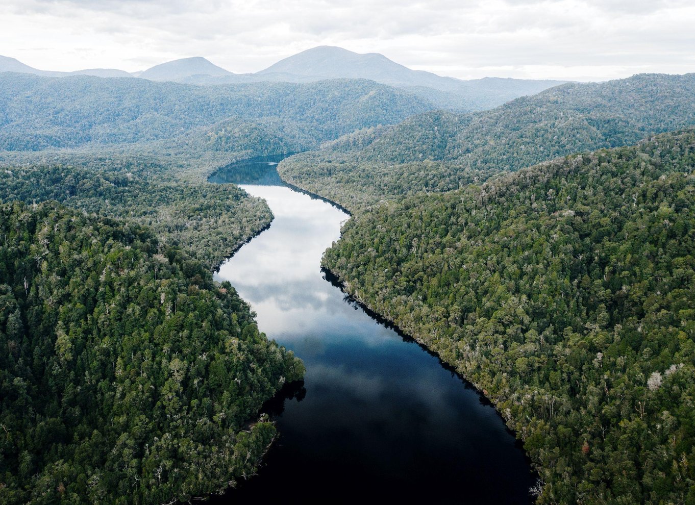 Strahan: Verdensarvskrydstogt på Gordon River med frokost