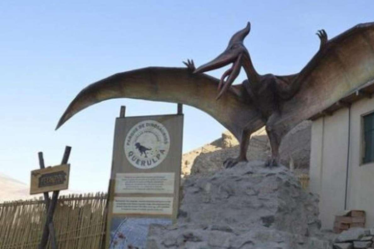 Arequipa: Excursion to Querulpa and Chancaray