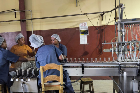 Worthy Park Estate Rum Distillery Tour with Tasting