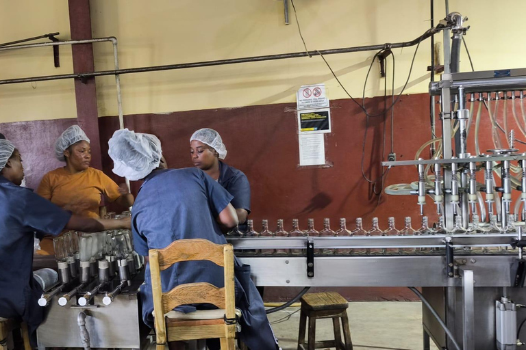 Worthy Park Estate Rum Distillery Tour with Tasting