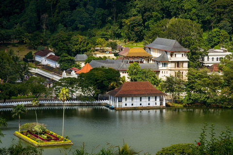 Sri Lanka:6-Day Tour of Kandy,Nuwara Eliya,Bentota &amp; Colombo