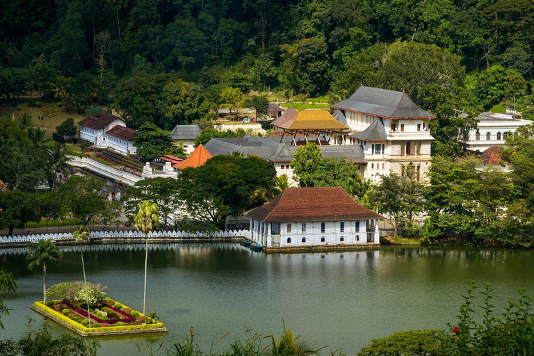 Sri Lanka: 12-tägige Tour mit Entdeckung des reichen Erbes