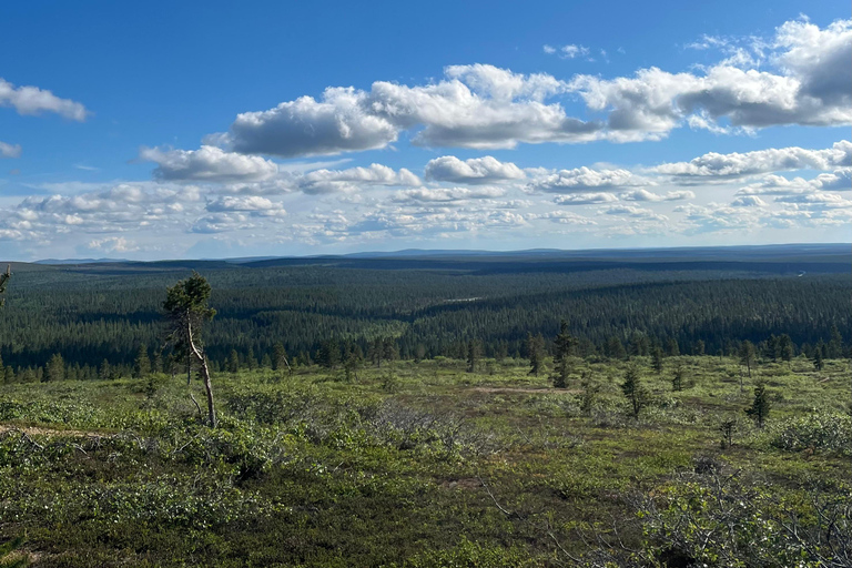 Saariselkä: Private National Park Walk with Cowboy Coffee
